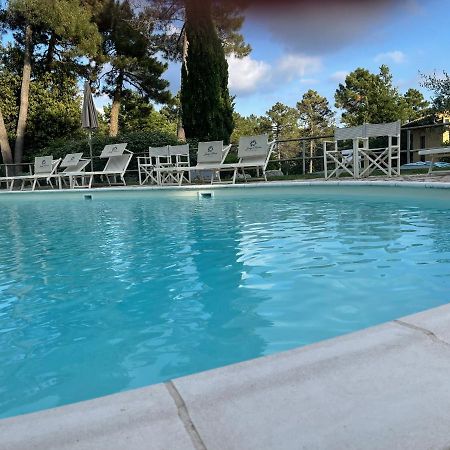 Апартаменты Tuscany Relax H&H - Helly House San Vivaldo Экстерьер фото